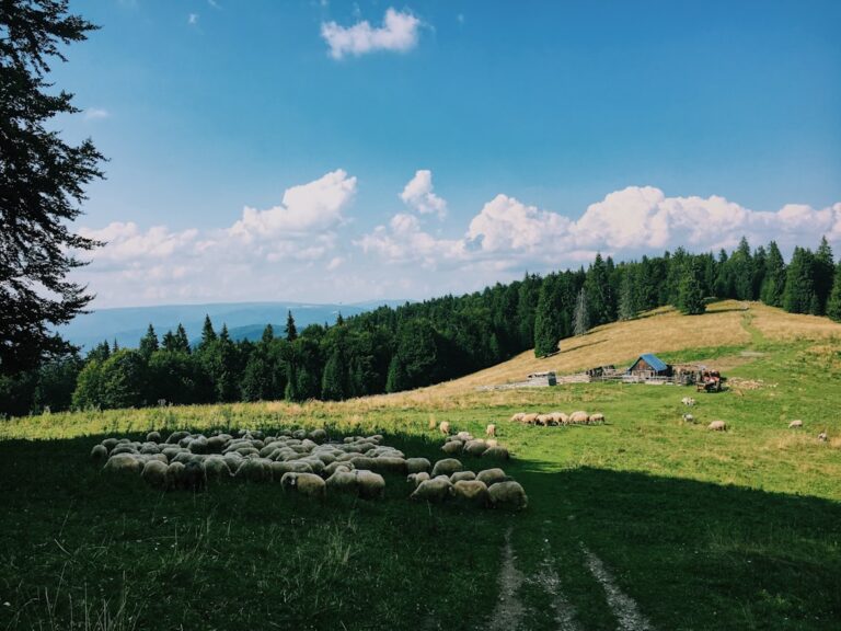 Wakacje na Kaszubach – co warto zobaczyć w okolicach Bydgoszczy?