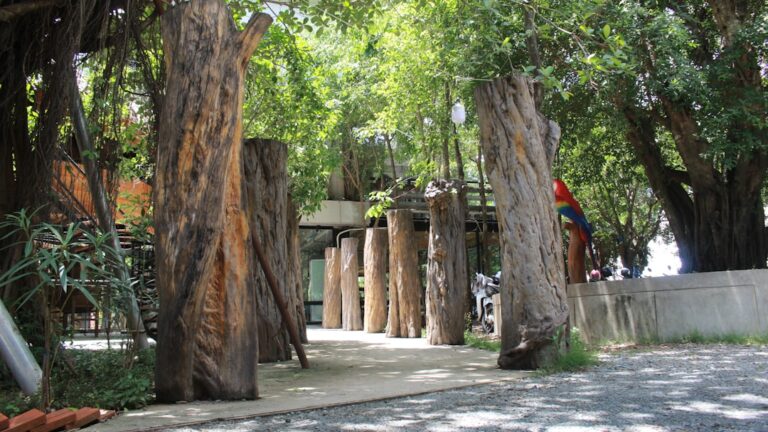 Atrakcje Ciechocinka. Co warto zwiedzić w uzdrowisku?