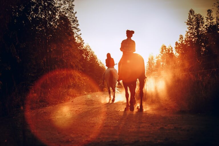 Jazda konna w Borach Tucholskich. Aktywny wypoczynek
