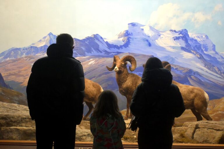 Muzea dla dzieci w Toruniu. Atrakcje dla rodzin