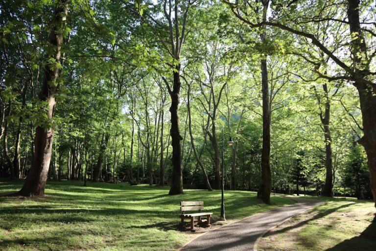 Myślęcinek – zielona oaza spokoju. Odkryj Leśny Park Kultury