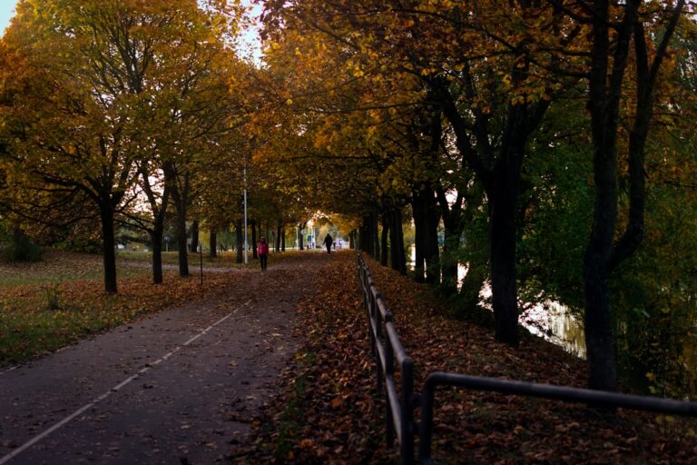 Parki miejskie w Bydgoszczy. Gdzie na spacer?