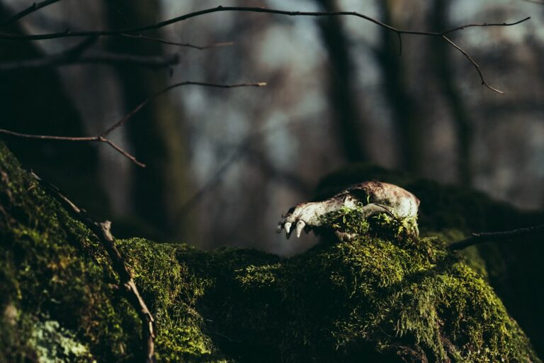 Rezerwaty przyrody w regionie. Odkryj naturę Kujawsko-Pomorskiego