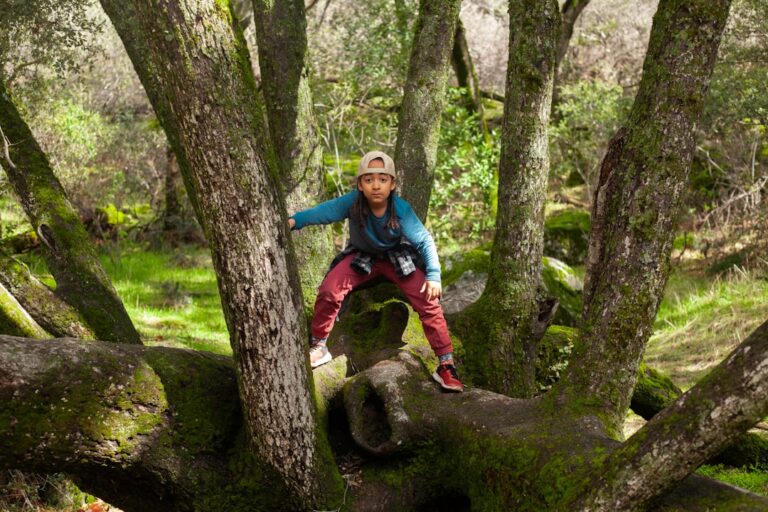 Myślęcinek – ścieżki edukacyjne dla dzieci. Poznaj przyrodę