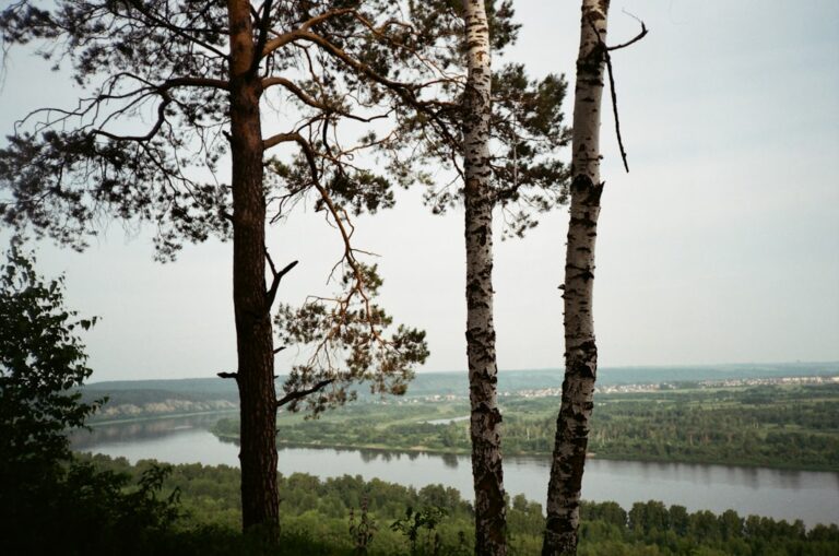 Wisła w Kujawsko-Pomorskiem – punkty widokowe